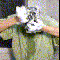 20230630_103104_136_20230630103202_655.gif