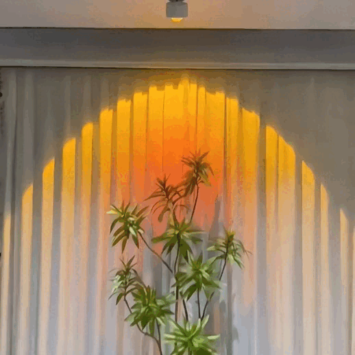173314216988382775.gif