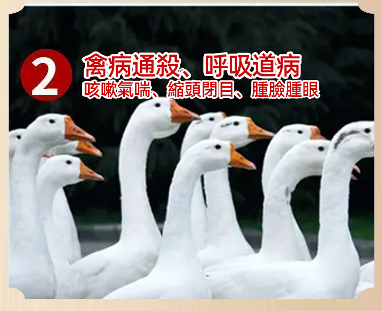 a9e44df578e705e87fbbcb40d008c8cb.jpg