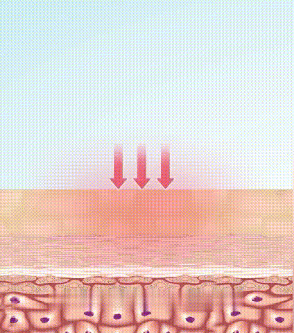 1777228472738523.gif